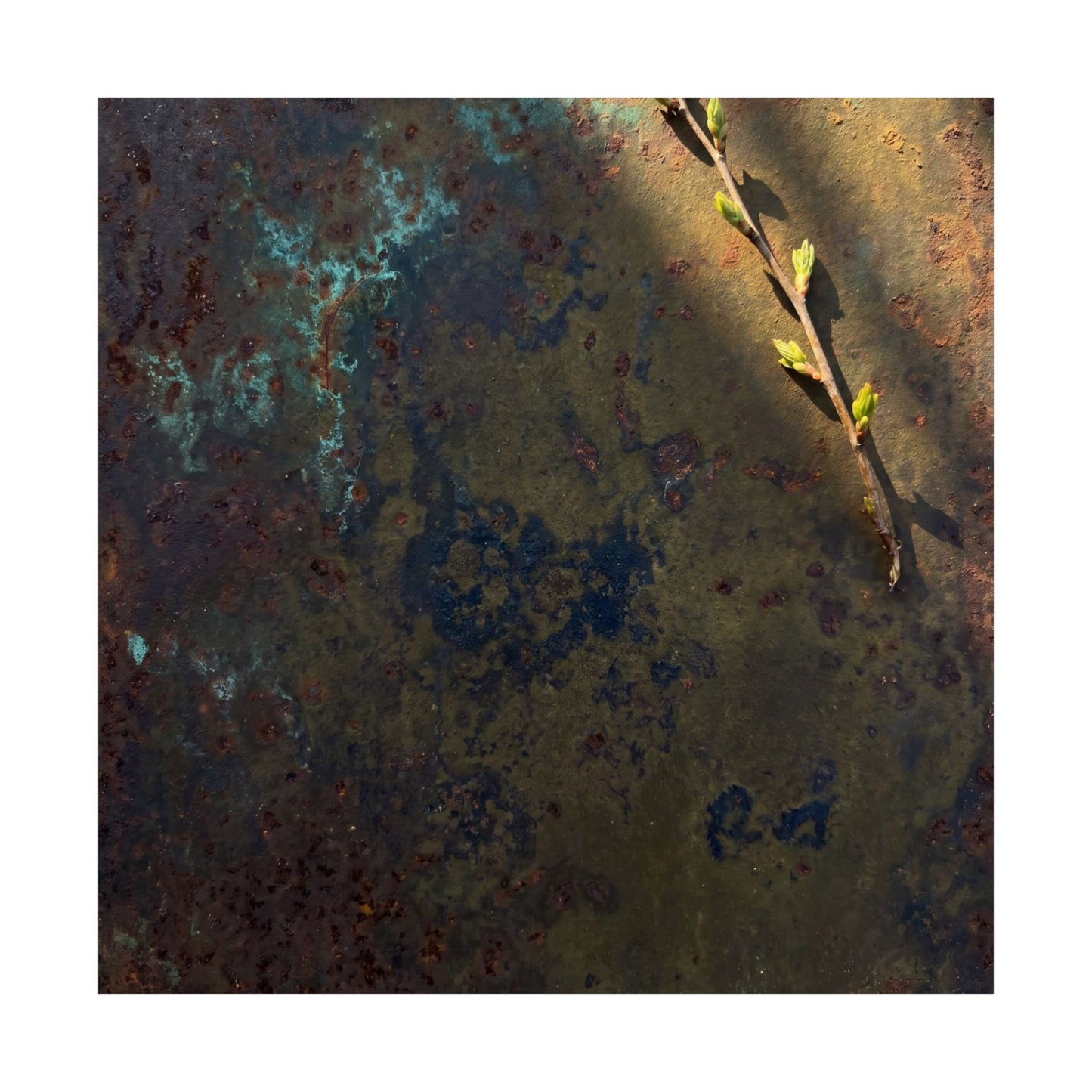 Rust Patina Spring Wall Art Print | Dark Japandi Luxurious Design