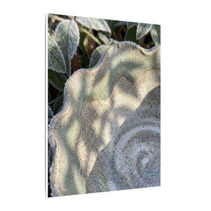 Dappled Ceramic Bowl Canvas Art - Japandi Seijaku