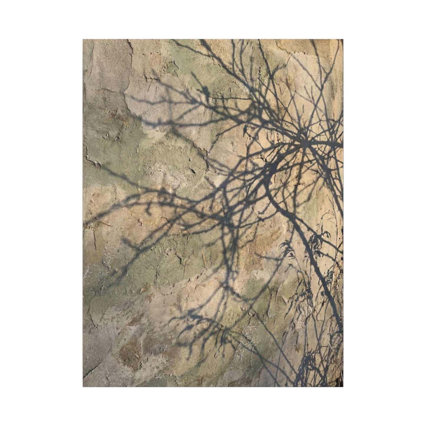 Japandi Shadow Play in Golden Hour | Texture Canvas Art