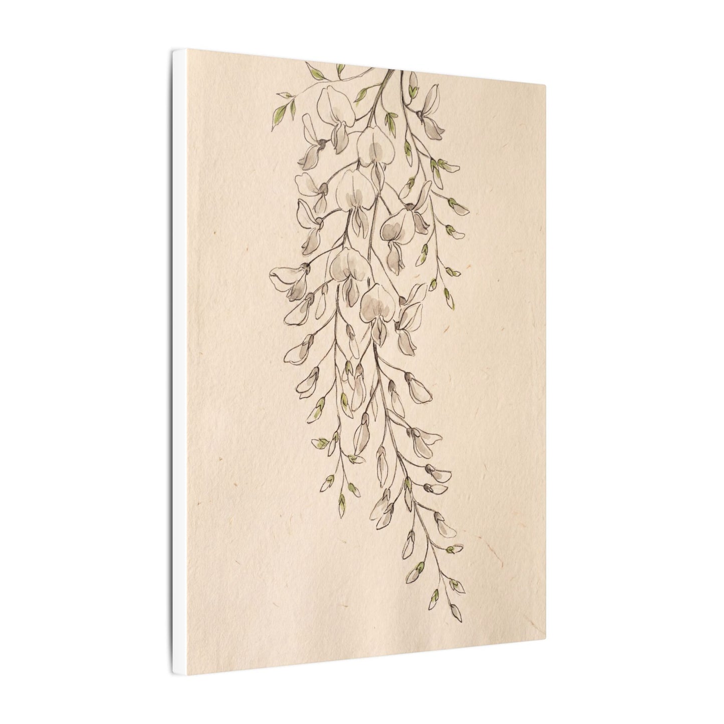 Japandi Wisteria in Golden Hour | Minimal Line Canvas Art