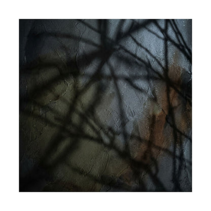 Shadow Play Wall Art Print | Winter Dark Japandi Dark Texture Art
