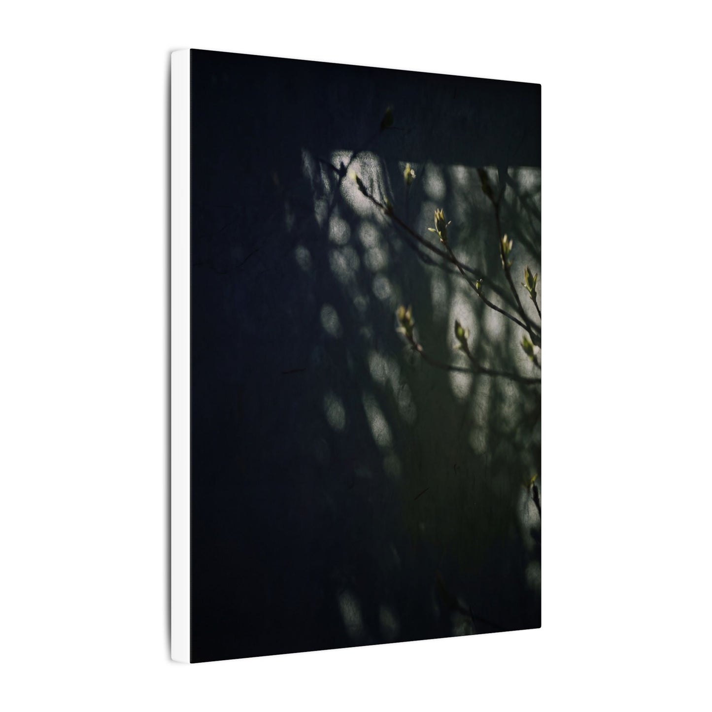 Dark Japandi Shoji Screen in Dappled | Moody Minimal Canvas Art