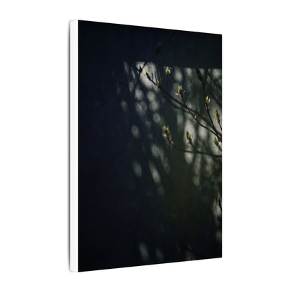 Dark Japandi Shoji Screen in Dappled | Moody Minimal Canvas Art