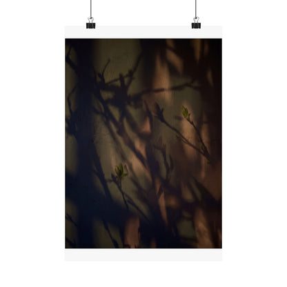 Shadow Play Spring Wall Art Print | Dark Japandi Sophisticated Design