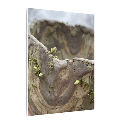 Overcast Ceramic Bowl Canvas Art - Japandi Fukinsei