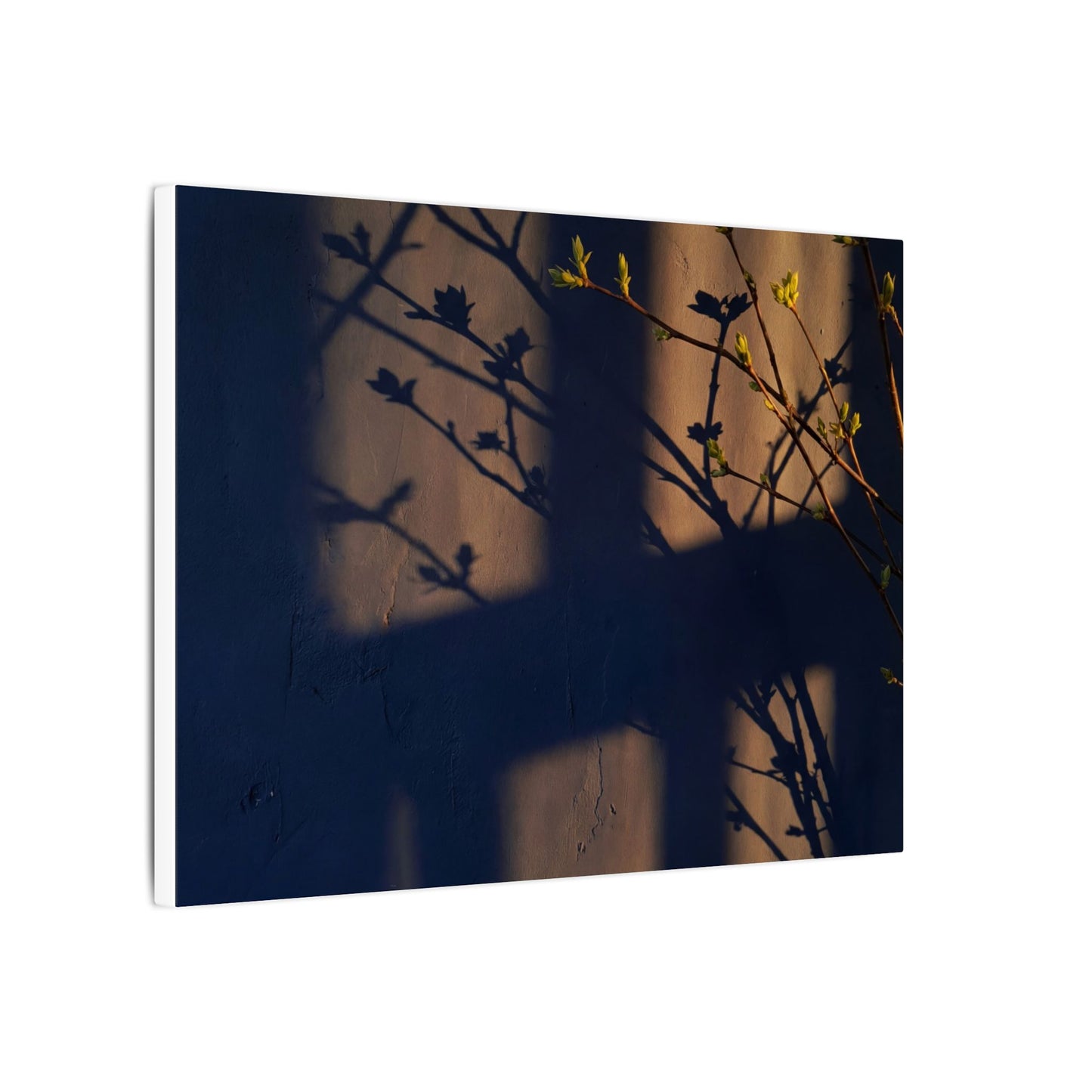 Shadow Play Canvas Art | Spring Dark Japandi Shadow Zen Art