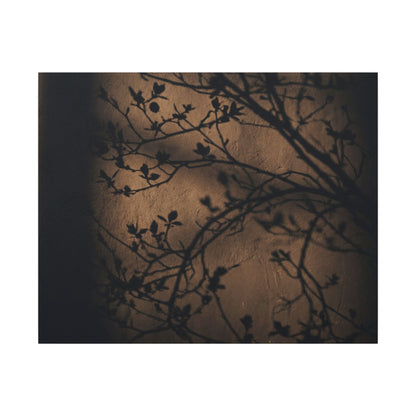 Dark Japandi Shadow Play in Golden Hour | Shadow Zen Canvas Art