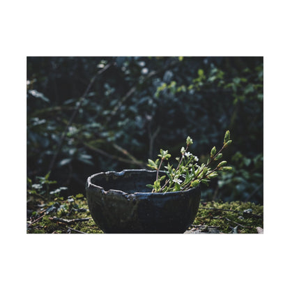 Dappled Ceramic Bowl Canvas Art - Dark Japandi Datsuzoku