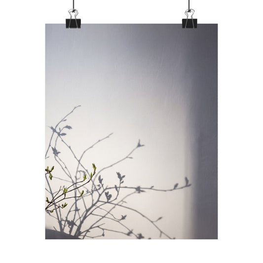 Japandi Shadow Play in Dawn | Japanese Pattern Wall Art Print