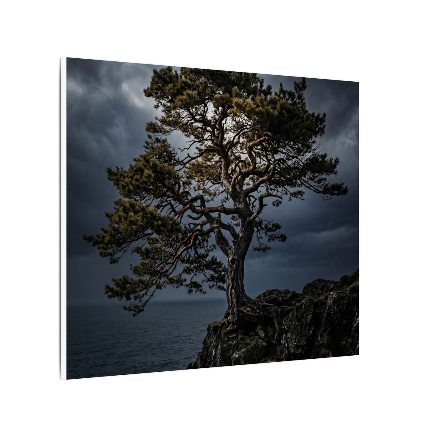 Dappled Pine Tree Canvas Art - Dark Japandi Fukinsei