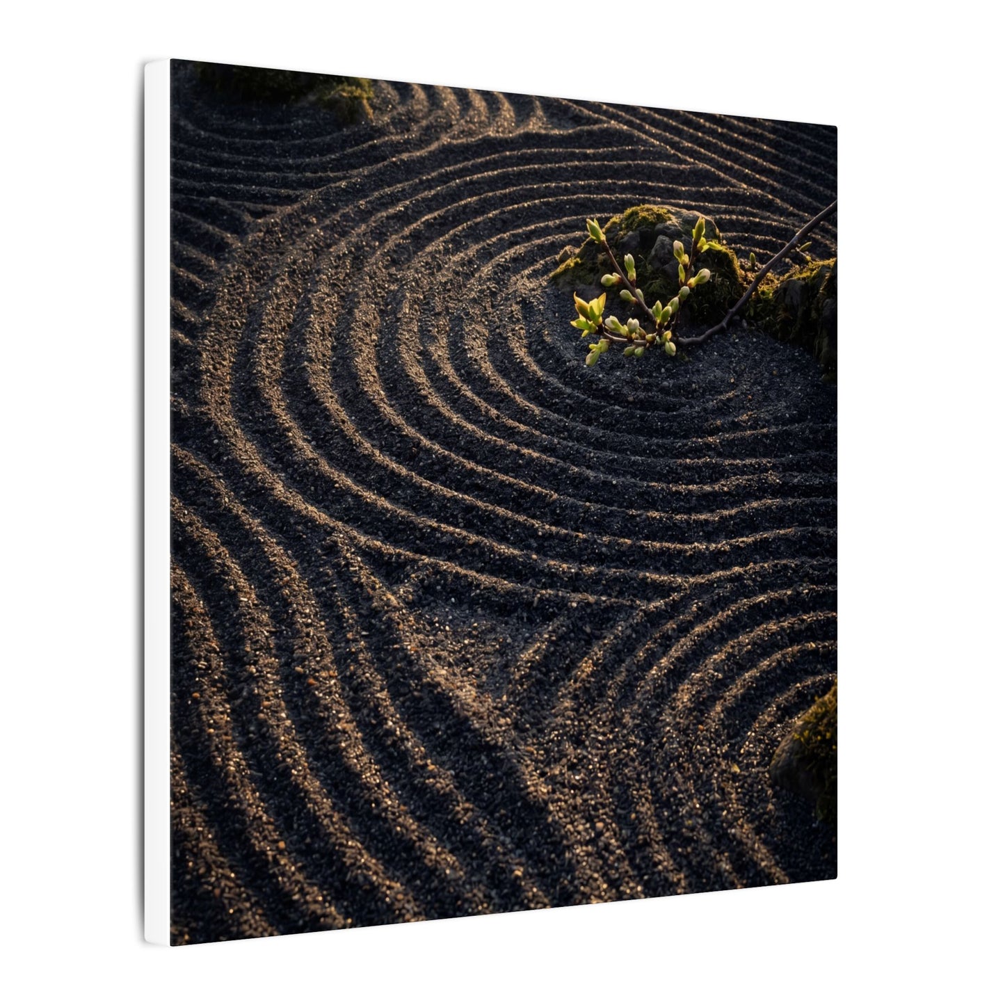 Spring Rock Garden Shadow Zen Canvas Art | Atmospheric Decor