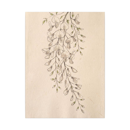 Japandi Wisteria in Golden Hour | Minimal Line Canvas Art