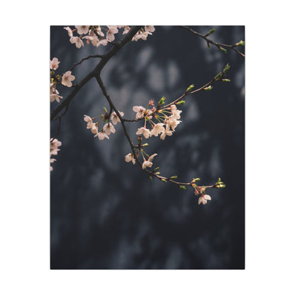 Cherry Blossom Moody Minimal Canvas Art | Bold Dark Japandi Art