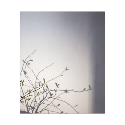 Japandi Shadow Play in Dawn | Japanese Pattern Canvas Art