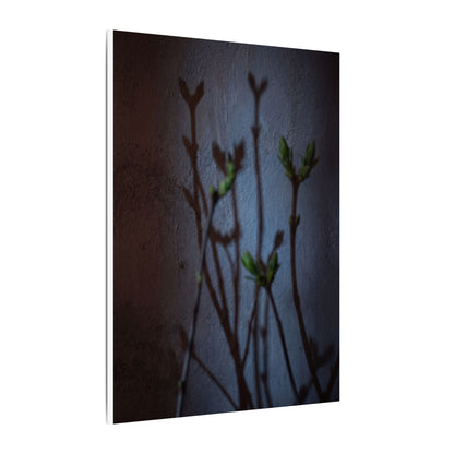 Shadow Play Spring Canvas Art | Dark Japandi Sophisticated Design