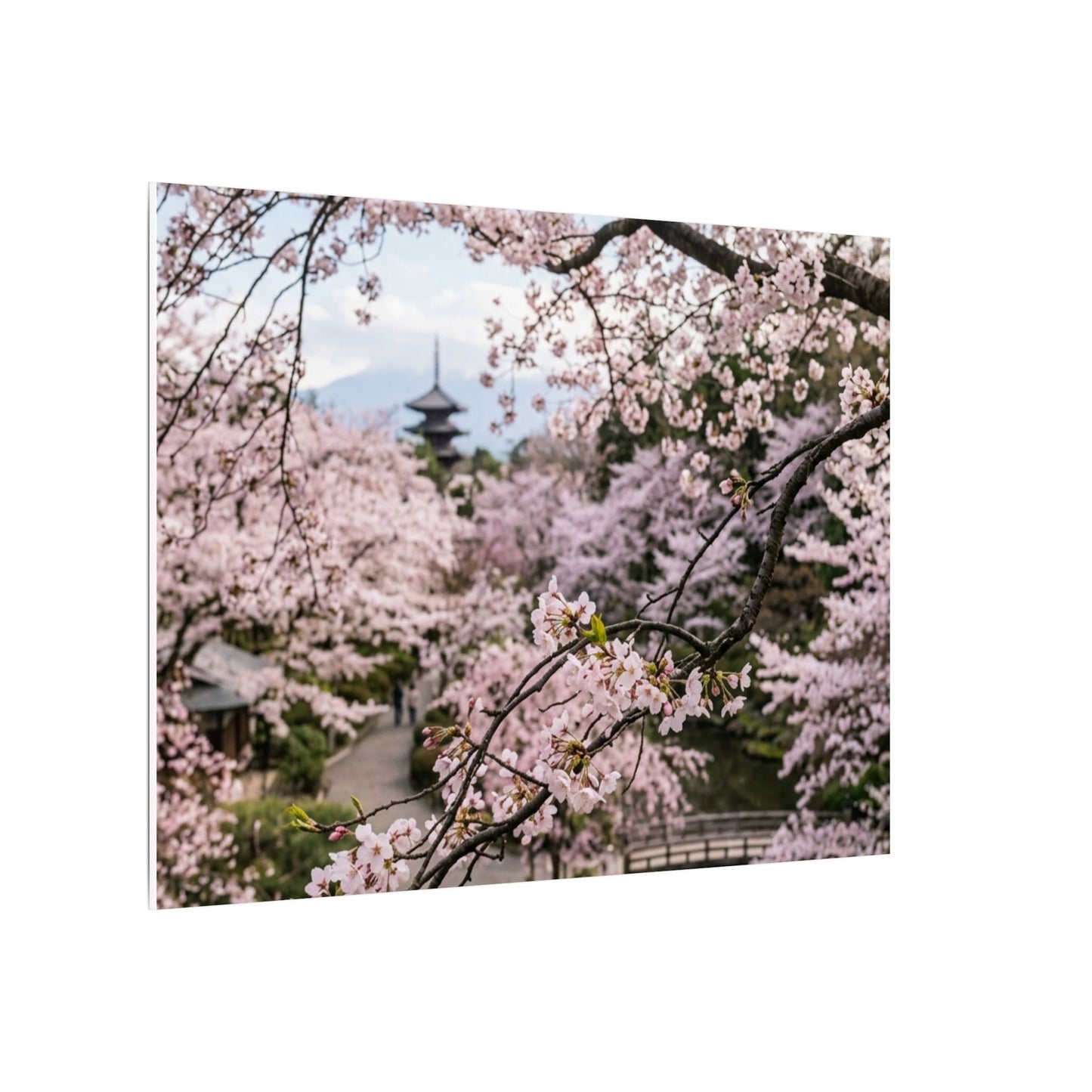 Fukinsei Cherry Blossom Canvas Art - Dark Japandi Moody Minimal