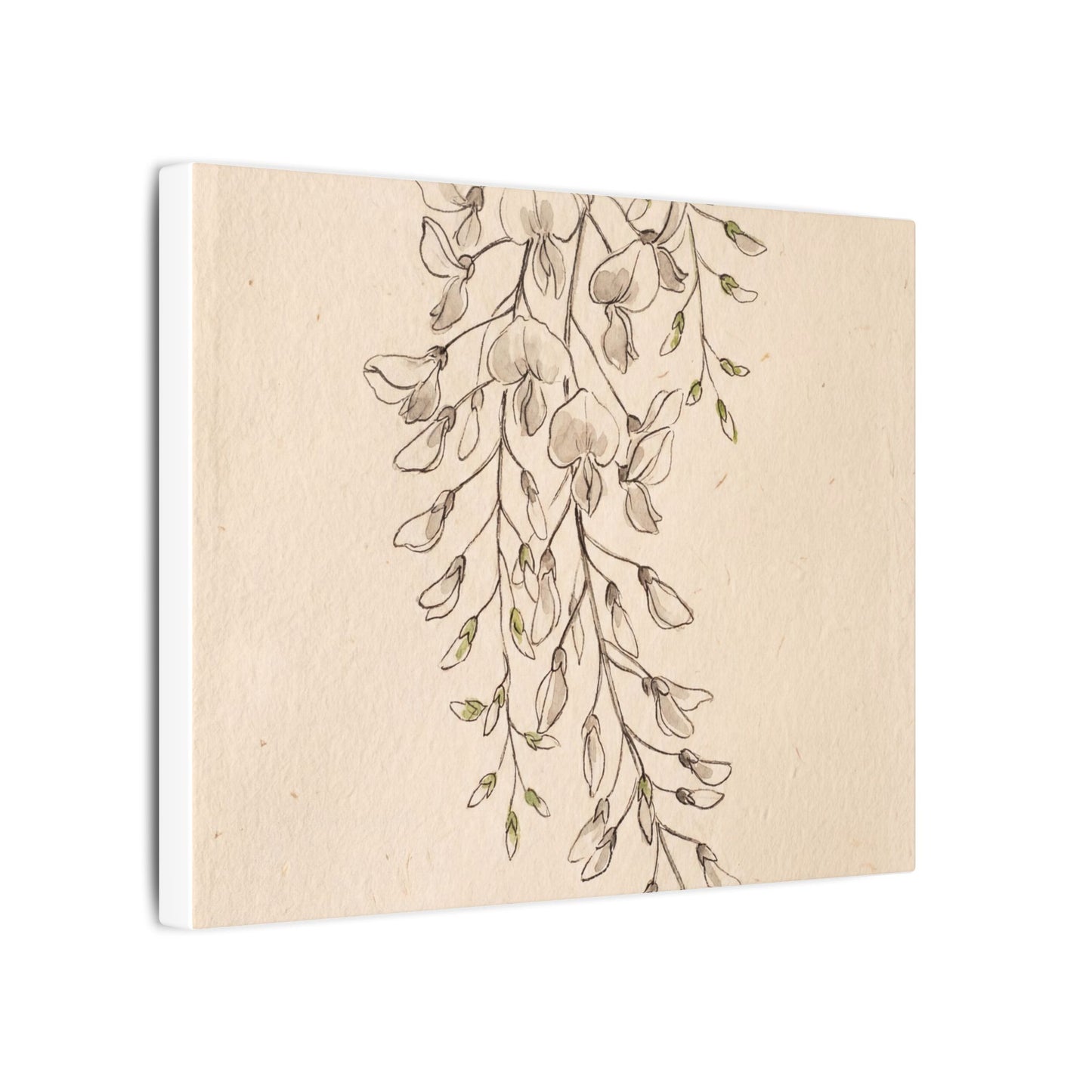 Japandi Wisteria in Golden Hour | Minimal Line Canvas Art