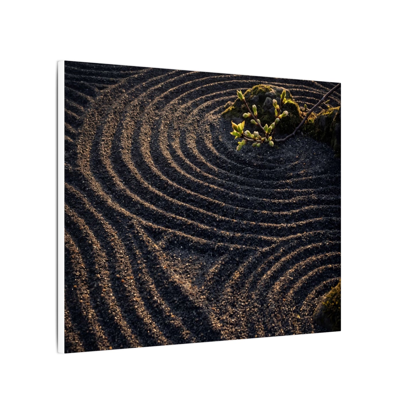 Spring Rock Garden Shadow Zen Canvas Art | Atmospheric Decor