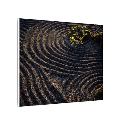 Spring Rock Garden Shadow Zen Canvas Art | Atmospheric Decor