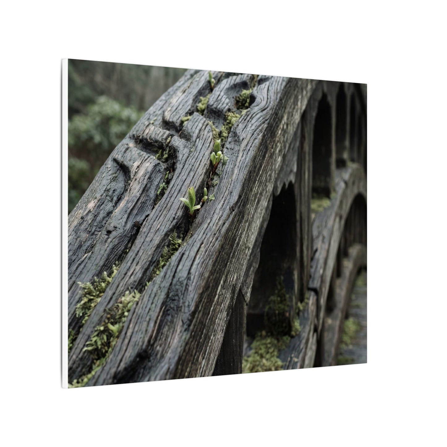 Overcast Wooden Bridge Canvas Art - Japandi Kanso