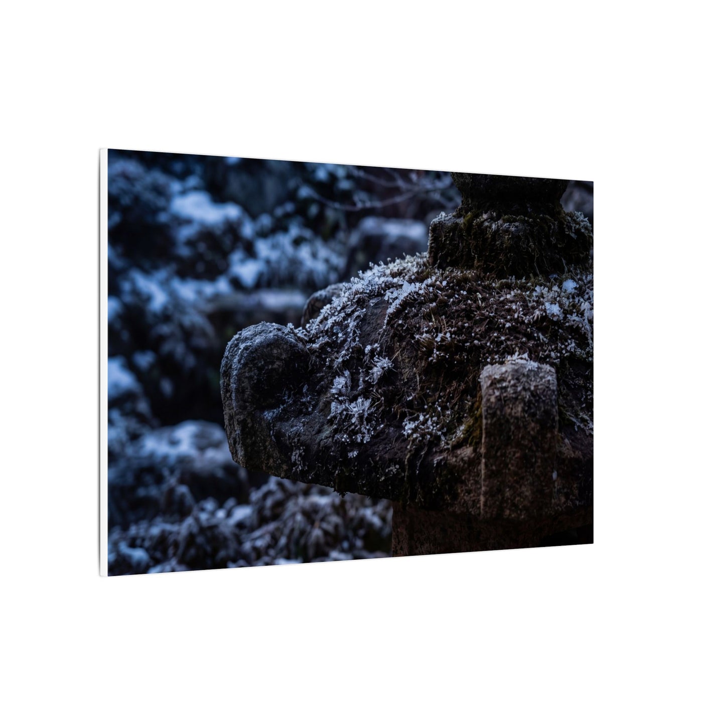 Moody Stone Lantern Canvas Art - Shadow Zen Dark Japandi