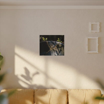 Seijaku Broken Pottery Canvas Art - Dark Japandi Shadow Zen