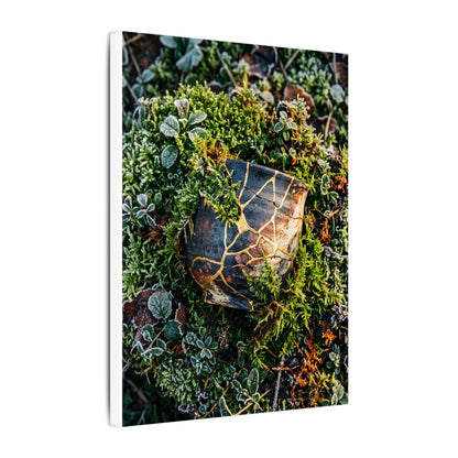 Artful Moss Close Up Canvas Art - Gold Repair Kintsugi