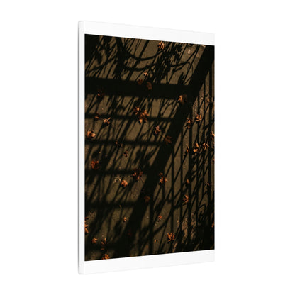 Dark Japandi Shadow Play in Golden Hour | Moody Minimal Canvas Art