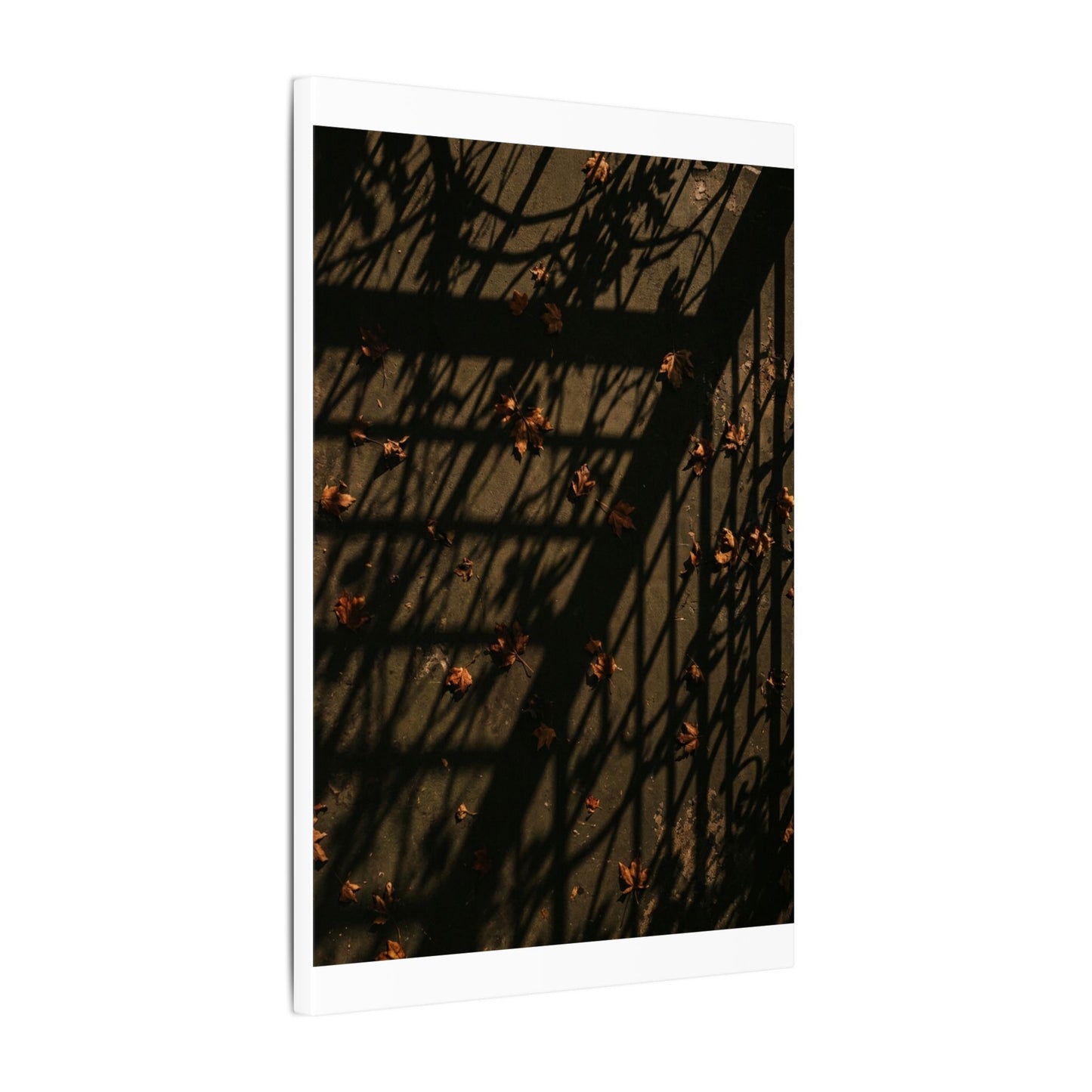 Shadow Play Canvas Art | Autumn Dark Japandi Moody Minimal Art