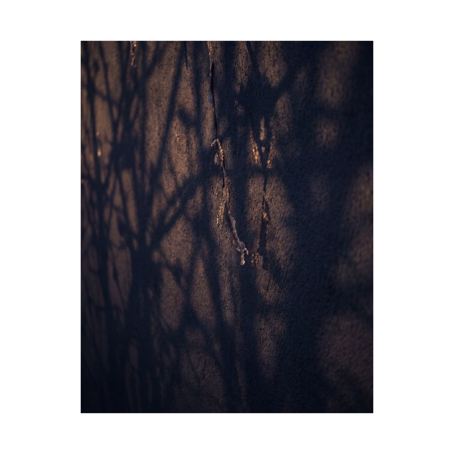 Golden Hour Shadow Play Wall Art Print - Dark Japandi Mono No Aware