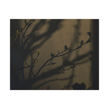 Seijaku Shadow Play Canvas Art - Dark Japandi Charcoal Ink