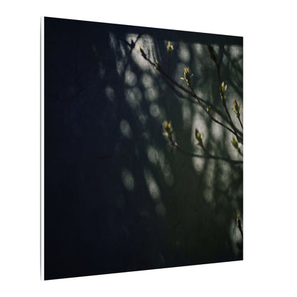 Dark Japandi Shoji Screen in Dappled | Moody Minimal Canvas Art