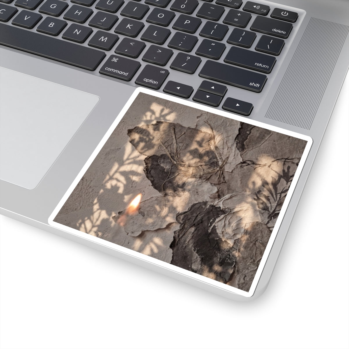 Shadow Play Summer Sticker | Japandi Neutral Design Art Print