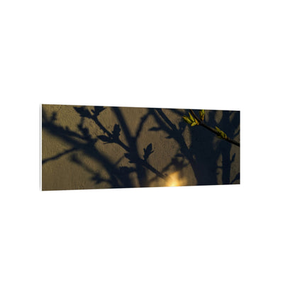 Bold Shadow Play Canvas Art - Moody Minimal Dark Japandi