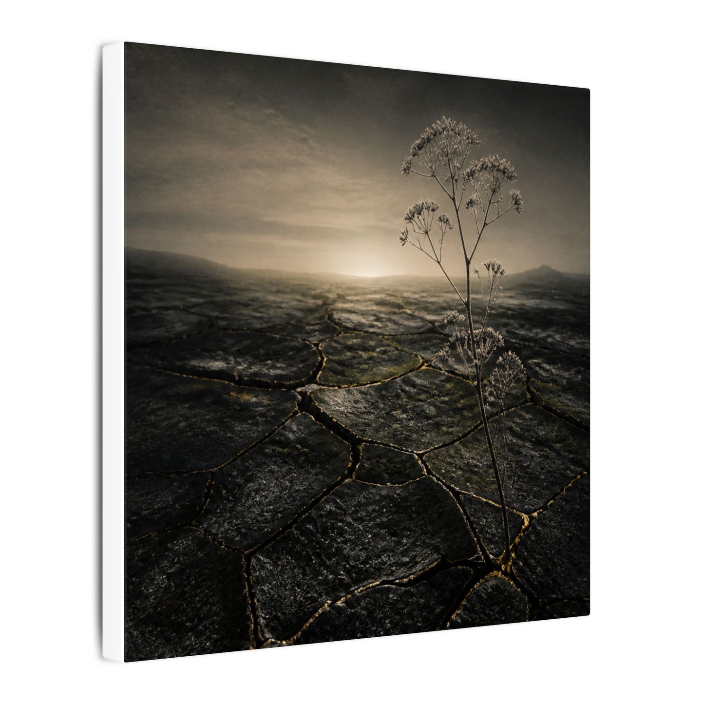 Dawn Cracked Earth Canvas Art - Dark Japandi Mono No Aware