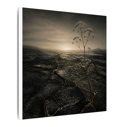 Dawn Cracked Earth Canvas Art - Dark Japandi Mono No Aware