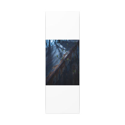 Rust Patina Canvas Art | Spring Dark Japandi Shadow Zen Art