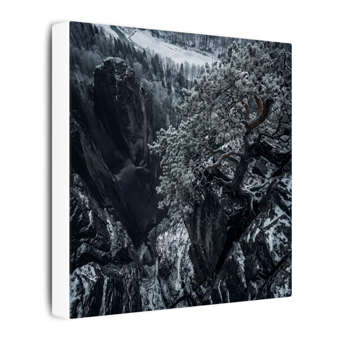 Dark Japandi Pine Tree in Dappled | Dark Texture Canvas Art