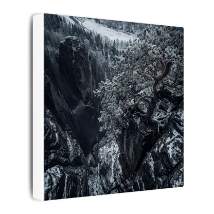 Dark Japandi Pine Tree in Dappled | Dark Texture Canvas Art