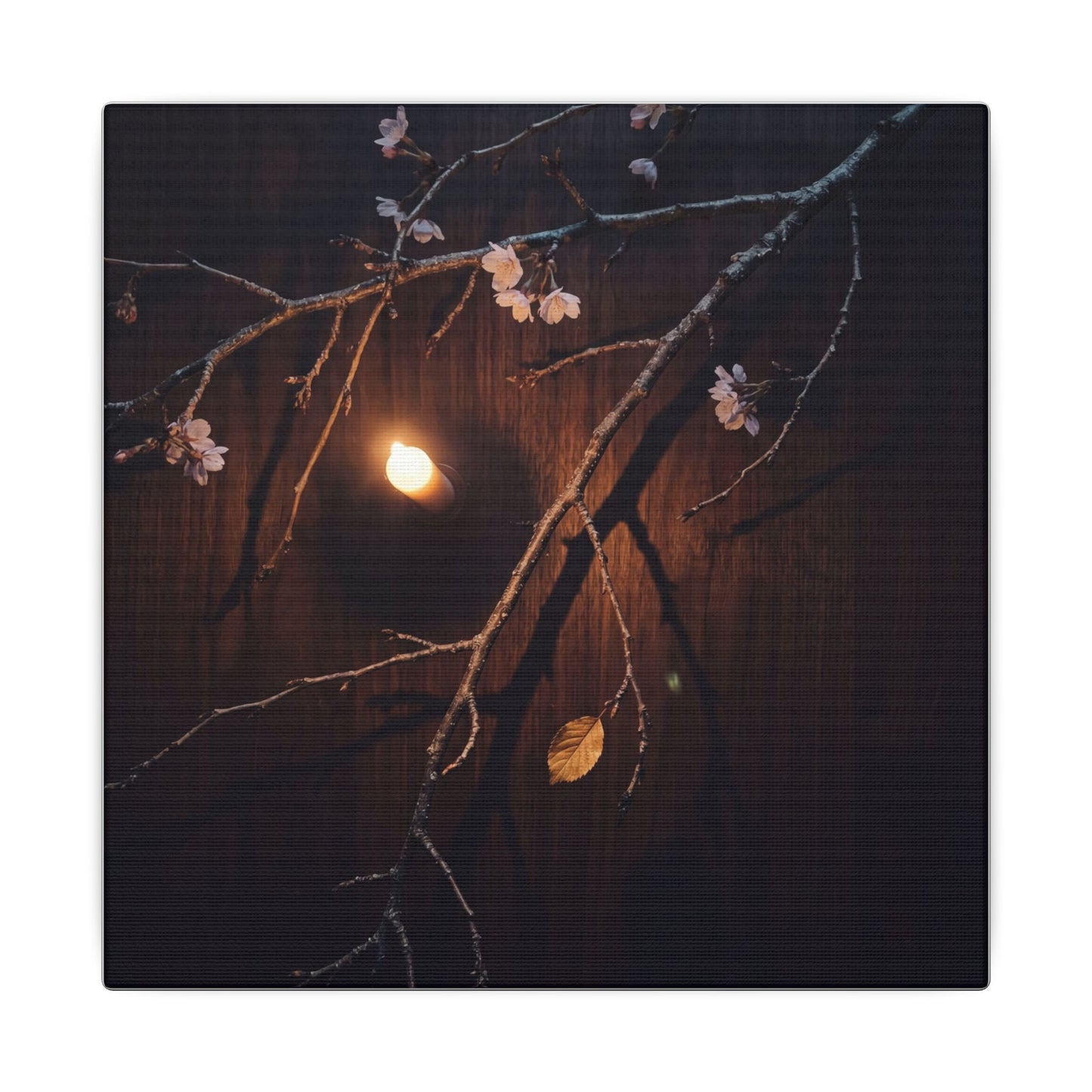 Datsuzoku Cherry Blossom Canvas Art - Dark Japandi Moody Minimal