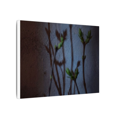 Shadow Play Spring Canvas Art | Dark Japandi Sophisticated Design