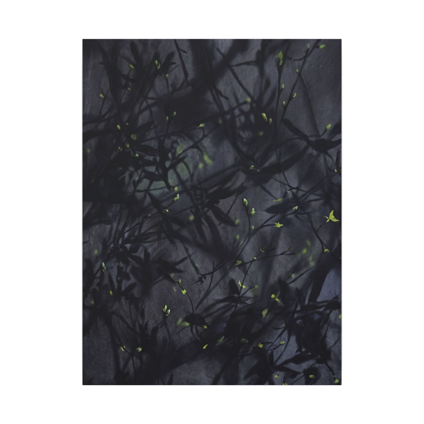Shadow Play Spring Canvas Art | Dark Japandi Atmospheric Design