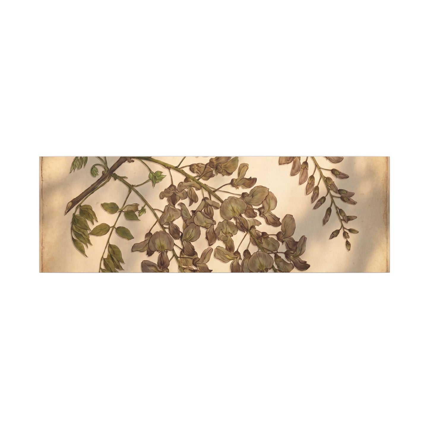 Spring Wisteria Herbarium Canvas Art | Earthy Decor