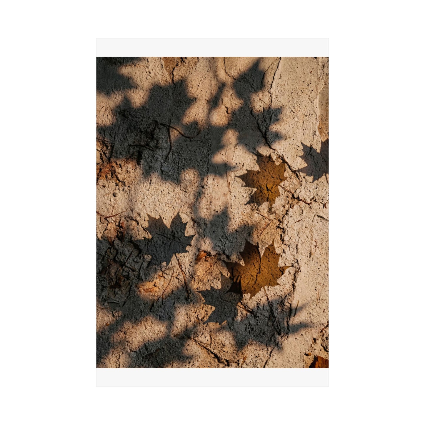 Shadow Play Texture Wall Art Print | Cozy Japandi Art