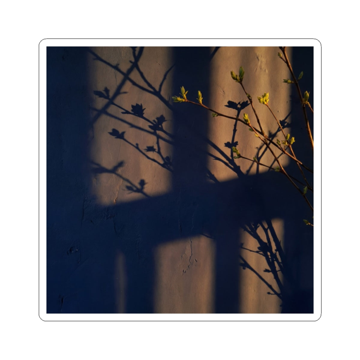 Shadow Play Spring Sticker | Dark Japandi Moody Design Art Print