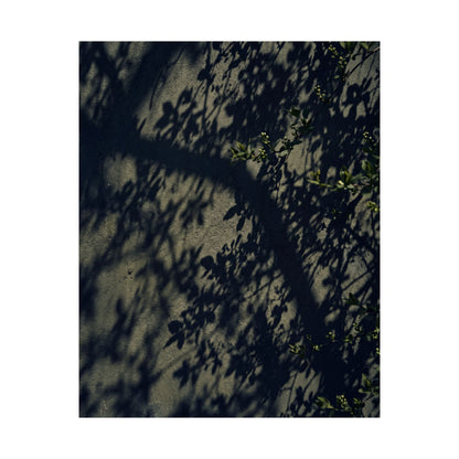 Shadow Play Moody Minimal Wall Art Print | Atmospheric Dark Japandi Art