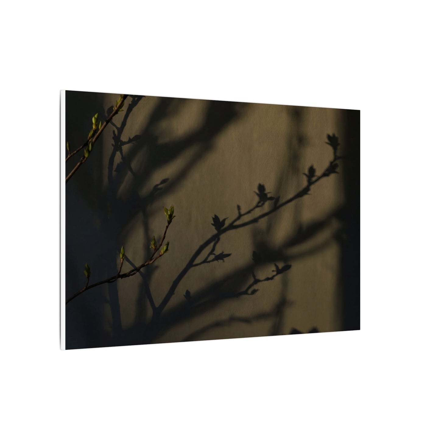 Seijaku Shadow Play Canvas Art - Dark Japandi Charcoal Ink