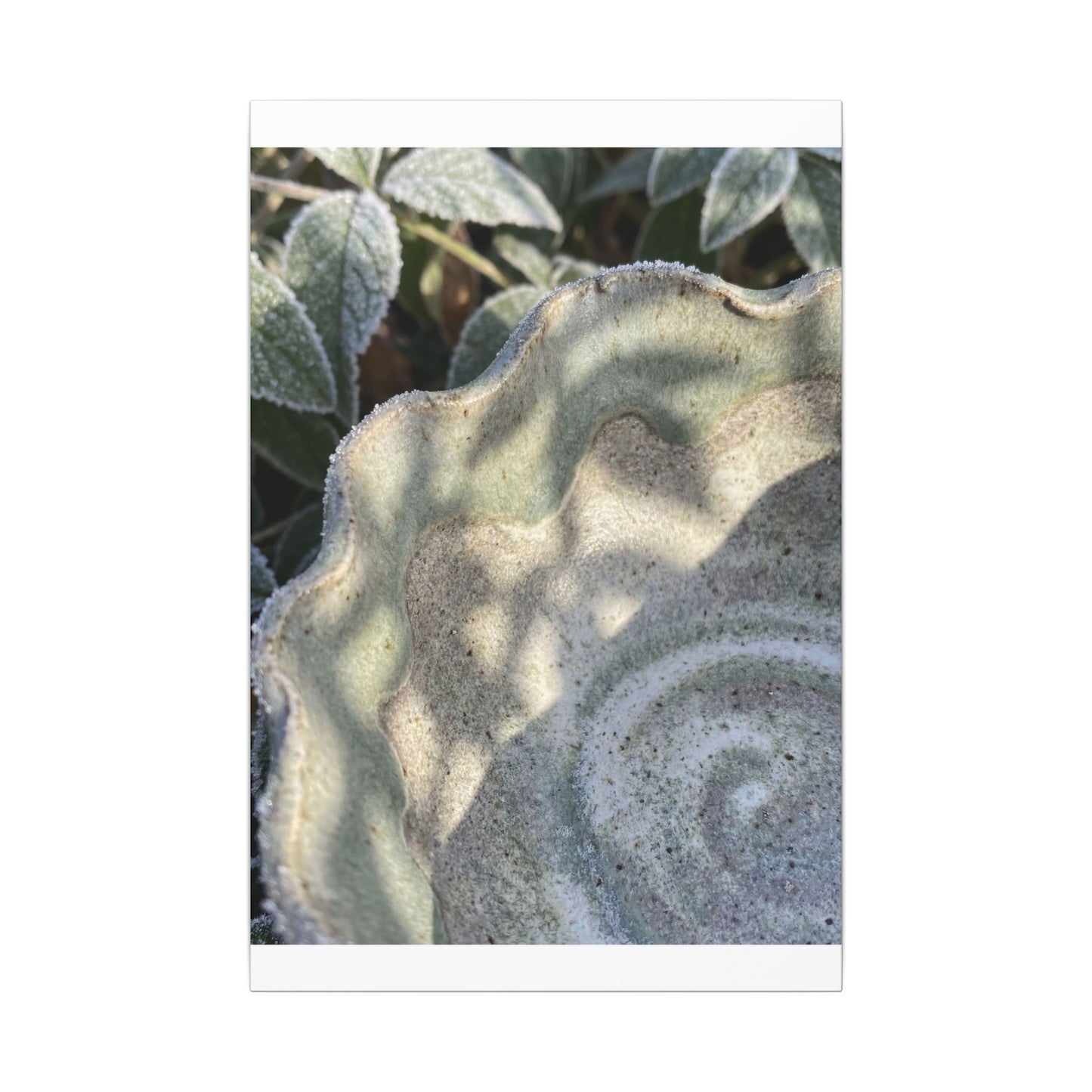 Dappled Ceramic Bowl Canvas Art - Japandi Seijaku