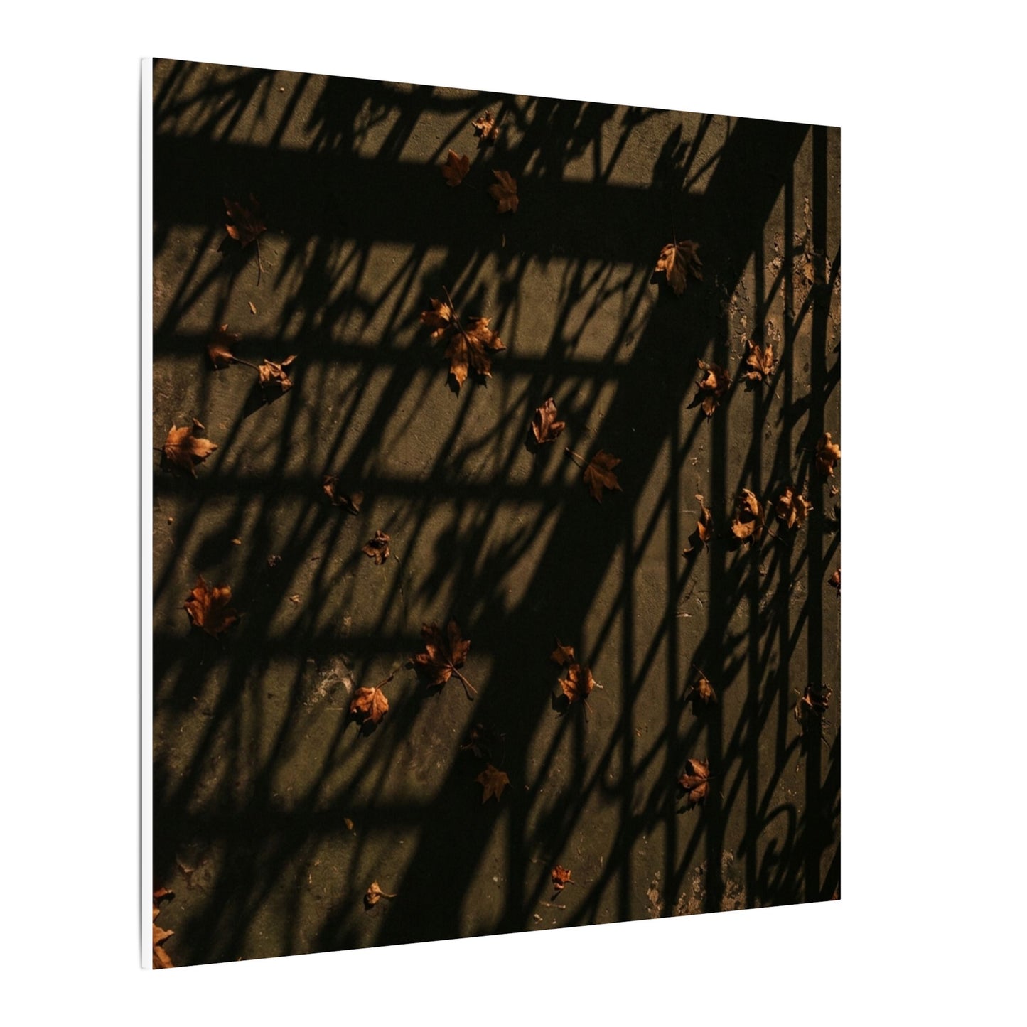 Dark Japandi Shadow Play in Golden Hour | Moody Minimal Canvas Art