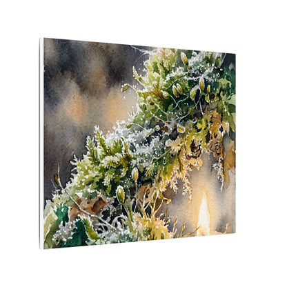 Winter Moss Close Up Watercolor Canvas Art | Neutral Decor